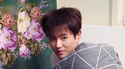 娱乐吃瓜蜀黍范丞丞,娱乐吃瓜界的“蜀黍”，揭秘娱乐圈幕后故事